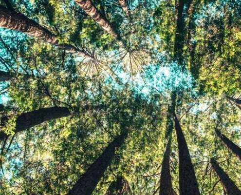 duurzaam ondernemen in de praktijk