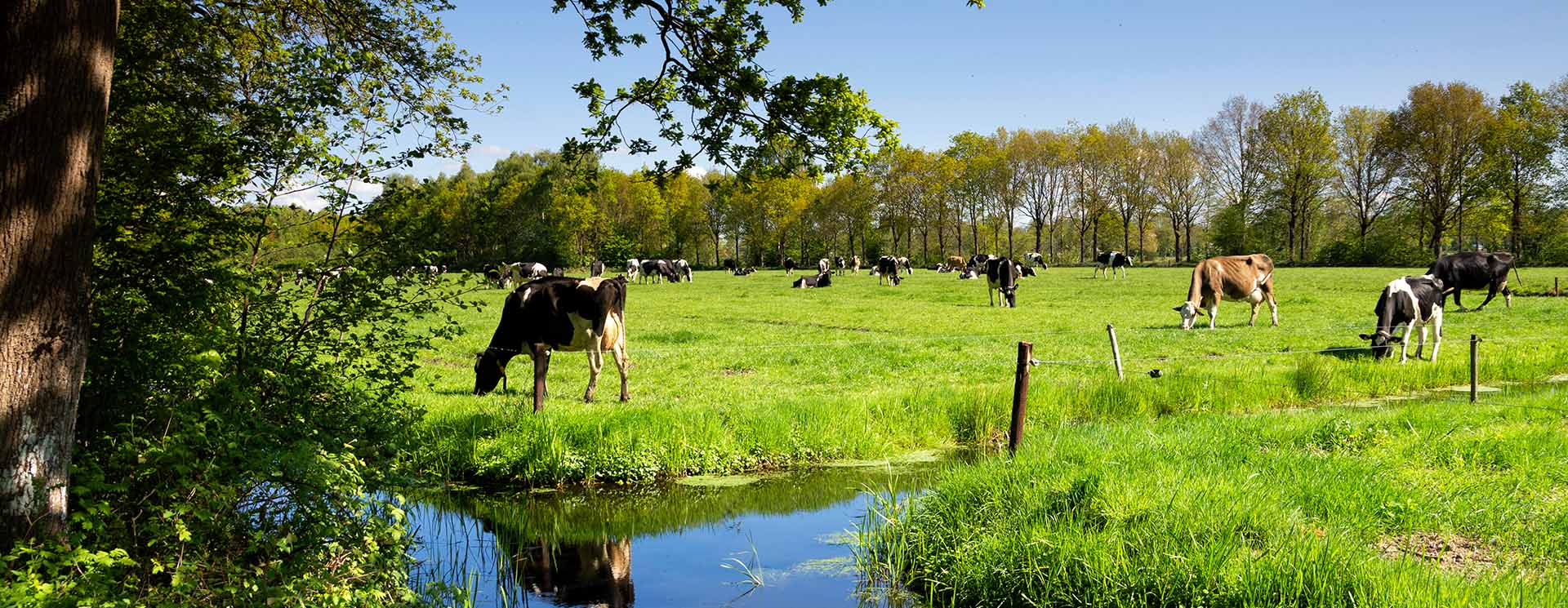 Agro transitiebegeleiding