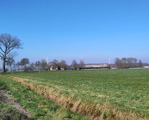 duurzame toekomst melkveehouder Lars van Loenhout