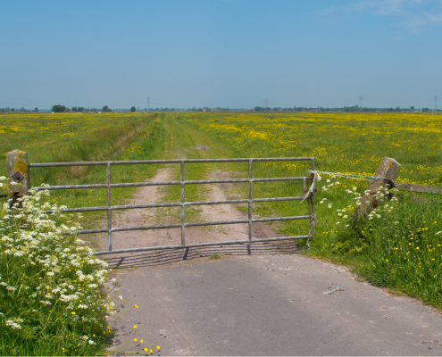 melkveehouder natuurinclusief boeren