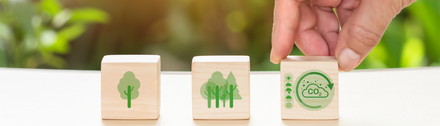 Science Based Targets (SBT): wat is het en hoe begin je als MKB?
