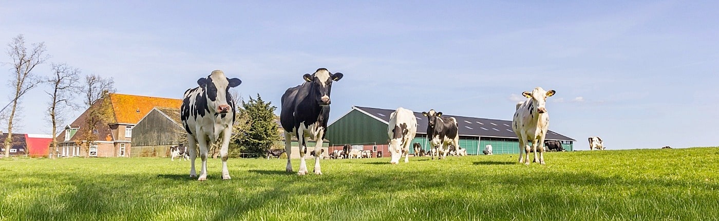 gesprek opvolging agrarische ondernemer